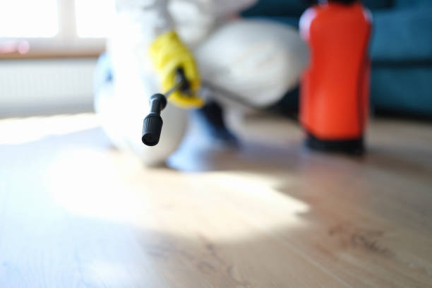 Homeland Park, SC Mold Removal Company